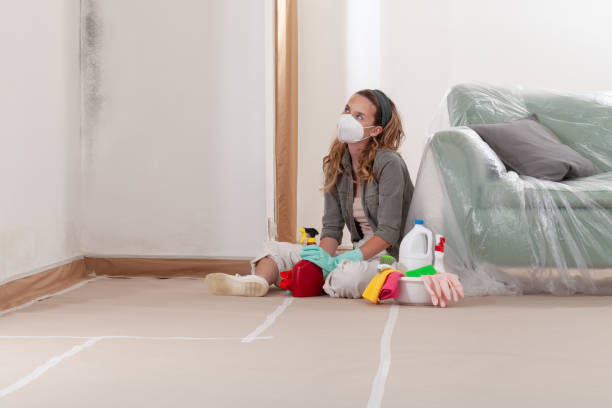 Reliable Mold Remediation contractor in Covington, WA by 24 Hour Mold Removal